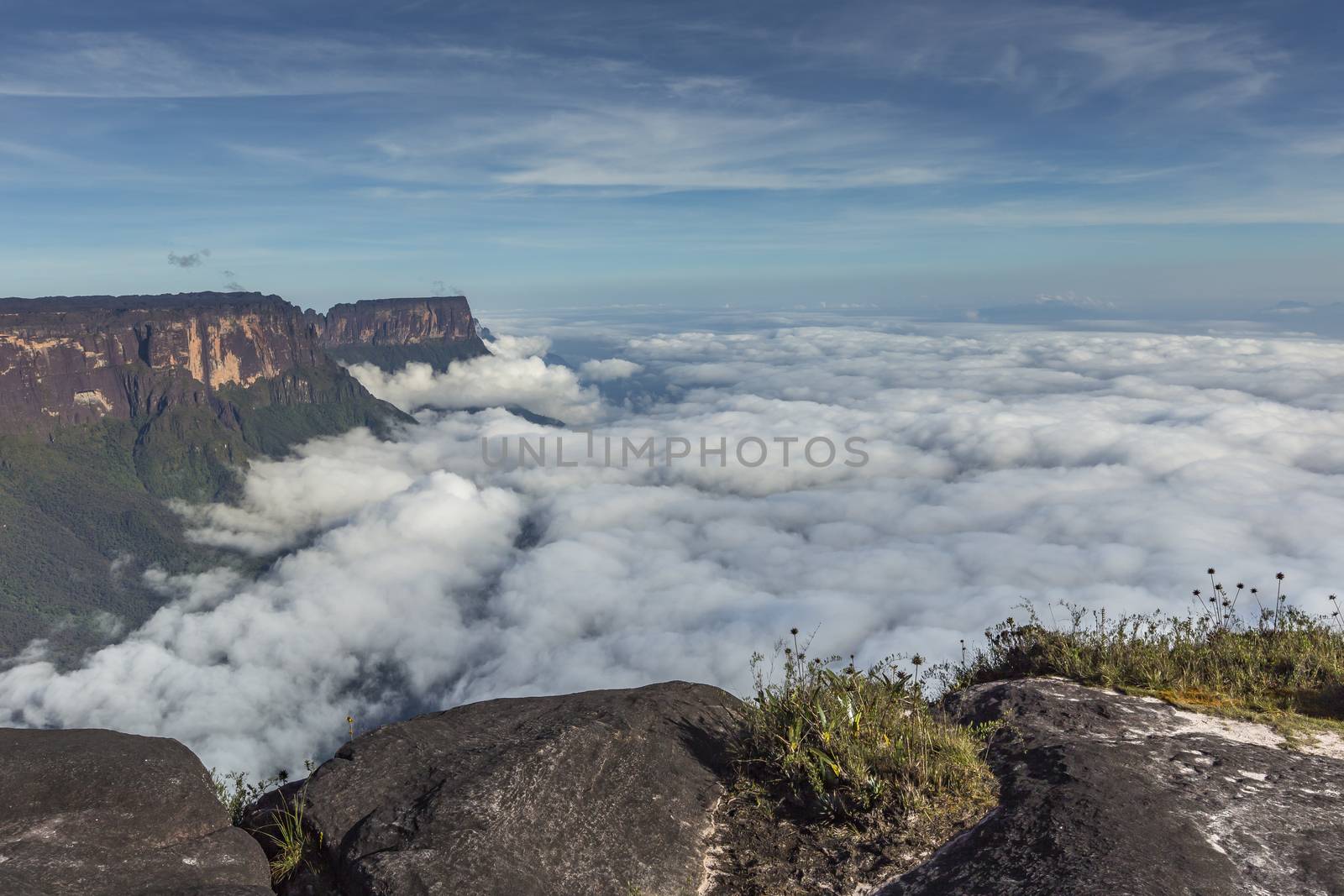 View from the Roraima tepui on Kukenan tepui at the mist - Venez by mariusz_prusaczyk