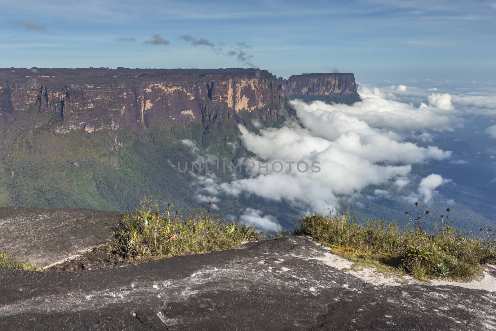 View from the Roraima tepui on Kukenan tepui at the mist - Venez by mariusz_prusaczyk