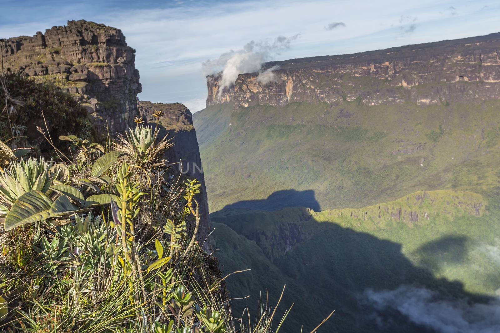 View from the Roraima tepui on Kukenan tepui at the mist - Venez by mariusz_prusaczyk