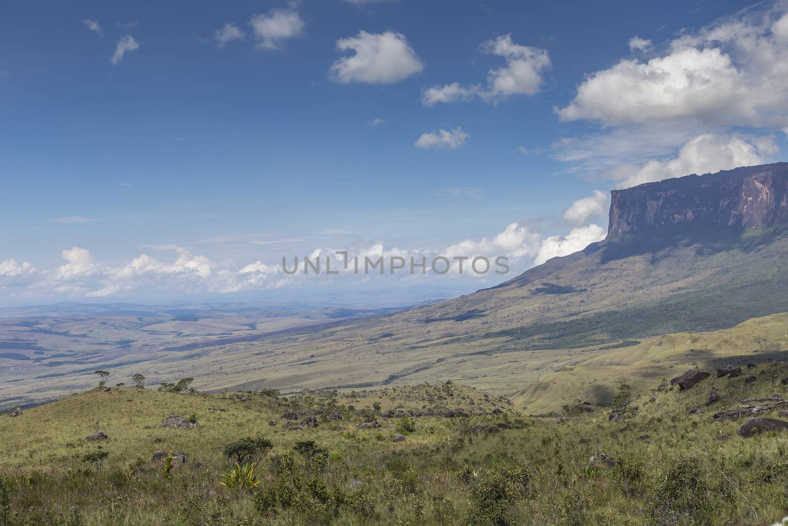 Tablemountain Roraima with clouds, Venezuela, Latin America. by mariusz_prusaczyk