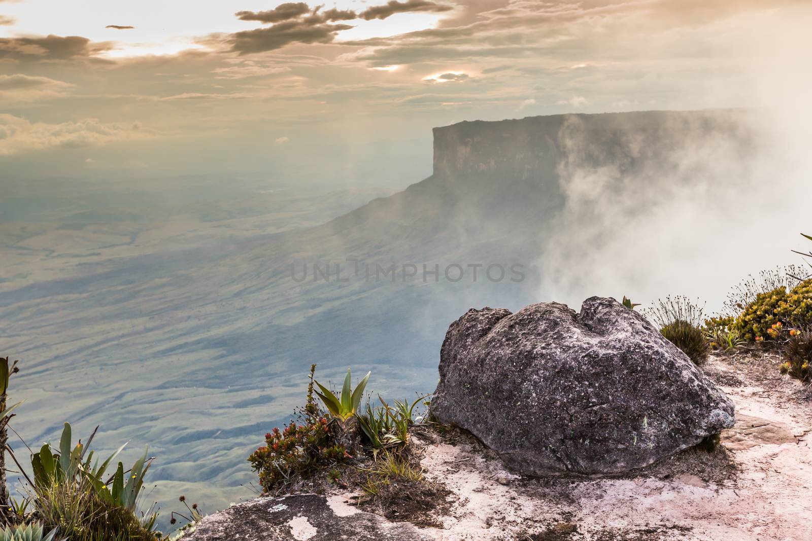 The view from the plateau of Roraima on the Grand Sabana - Venezuela, Latin America  by mariusz_prusaczyk