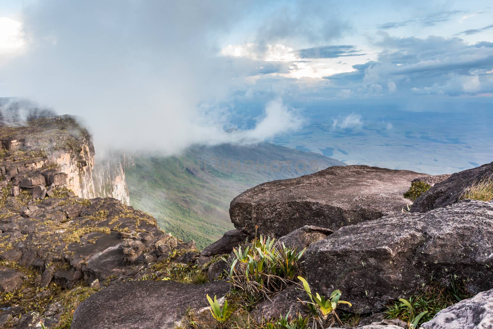 The view from the plateau of Roraima on the Grand Sabana - Venezuela, Latin America 