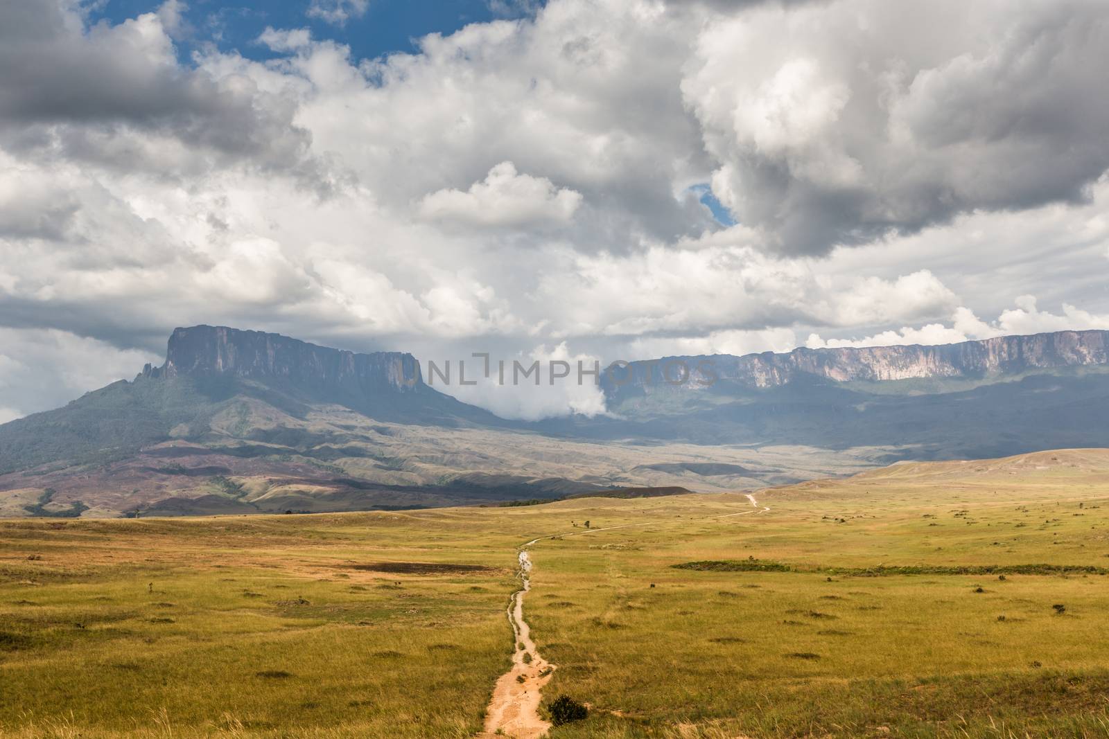 Track to Mount Roraima - Venezuela, South America  by mariusz_prusaczyk