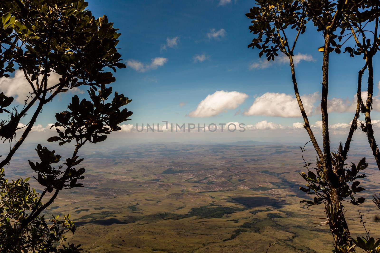 View from the plateau Roraima to Gran Sabana region - Venezuela, South America  by mariusz_prusaczyk