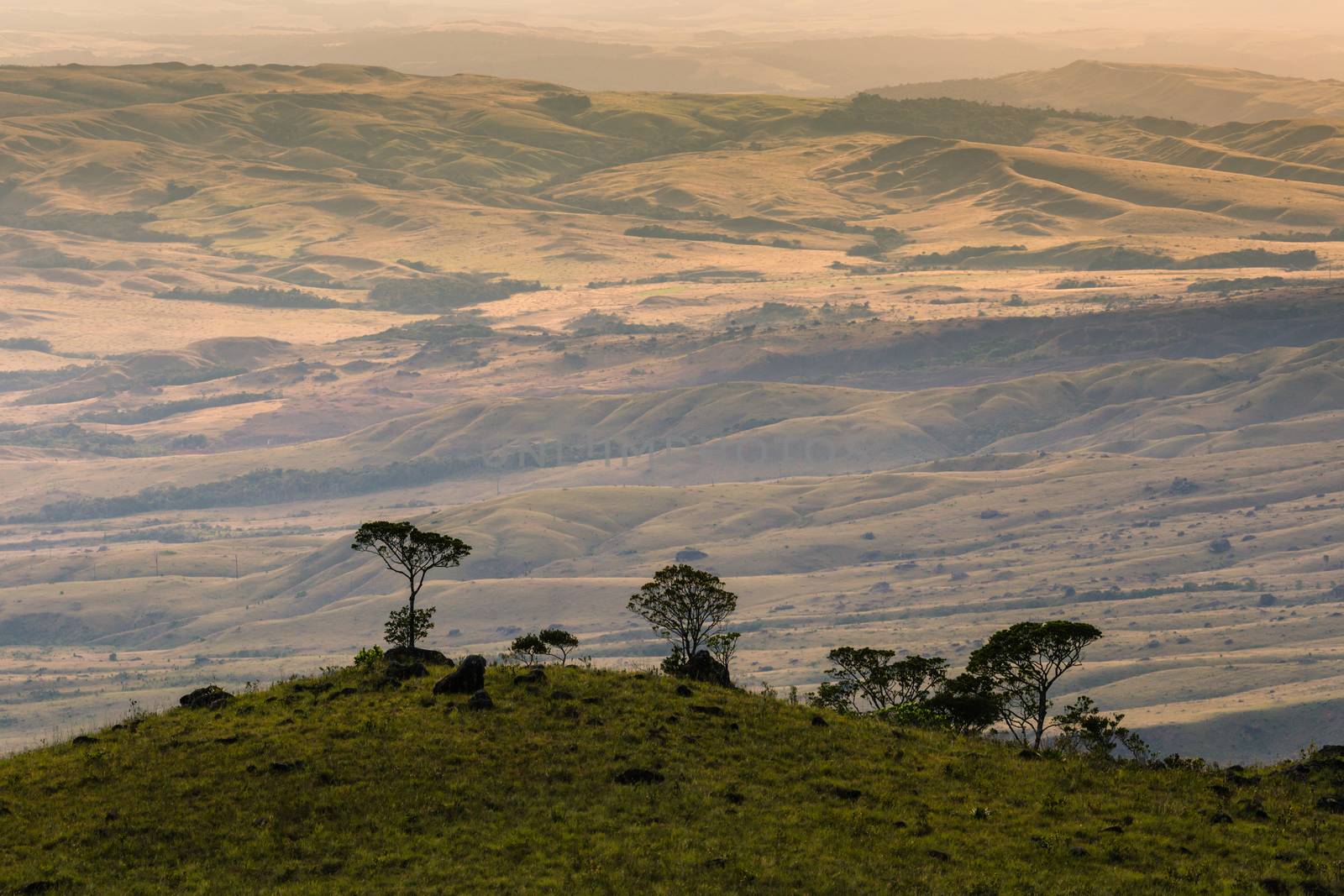 Track to Mount Roraima - Venezuela, South America  by mariusz_prusaczyk