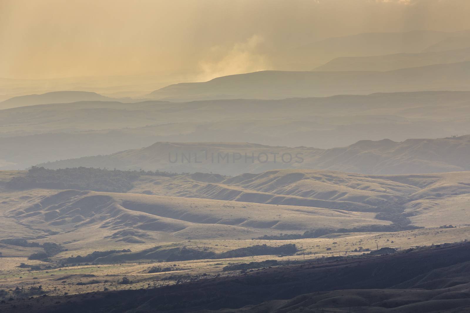 The Gran Sabana in the evening light - Venezuela, South America by mariusz_prusaczyk