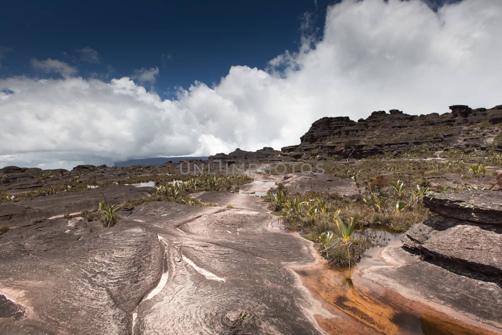 Bizarre ancient rocks of the plateau Roraima tepui - Venezuela, Latin America  by mariusz_prusaczyk