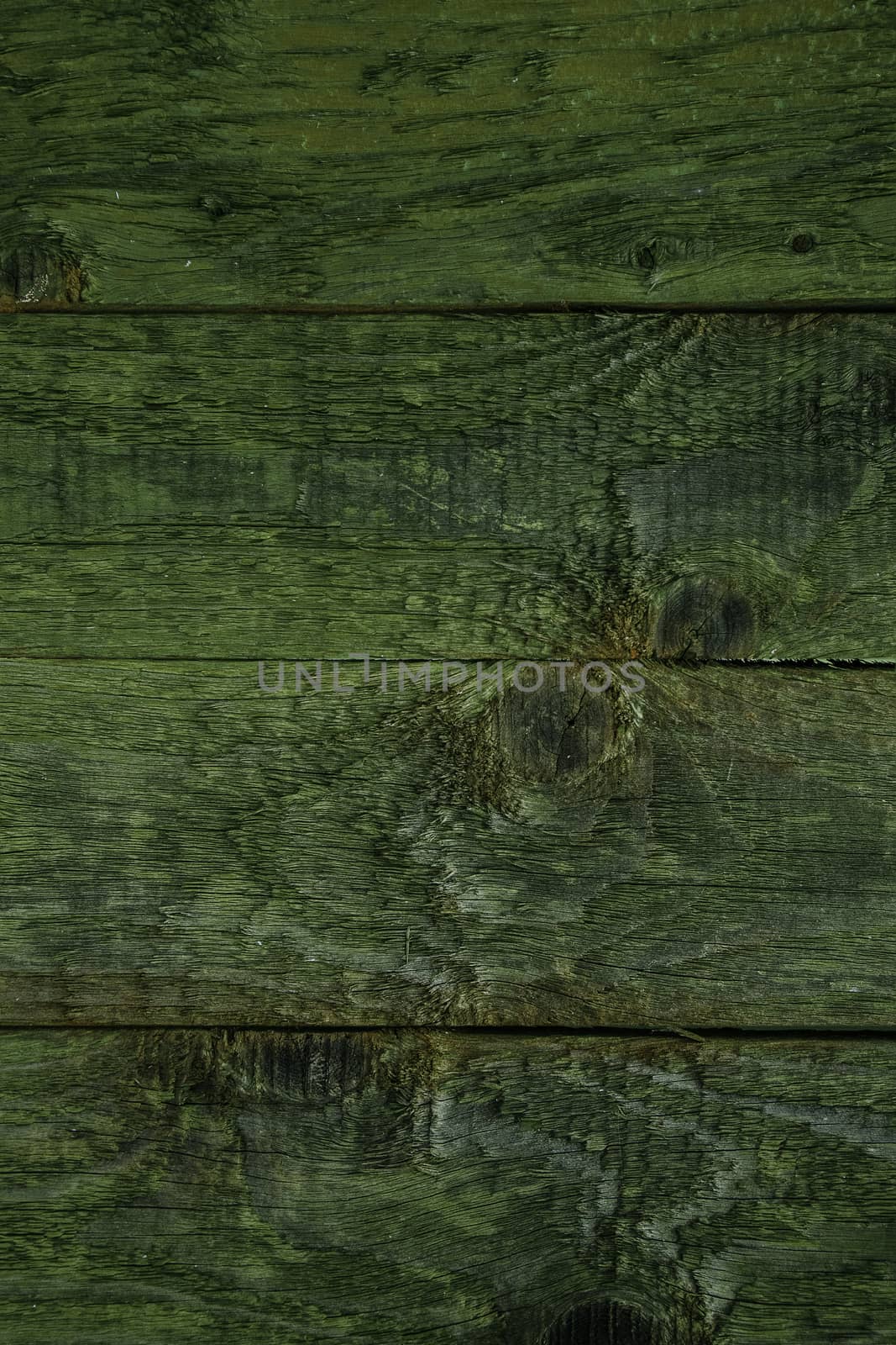 Wooden line texture. Surface of wood texture with natural patter by natazhekova