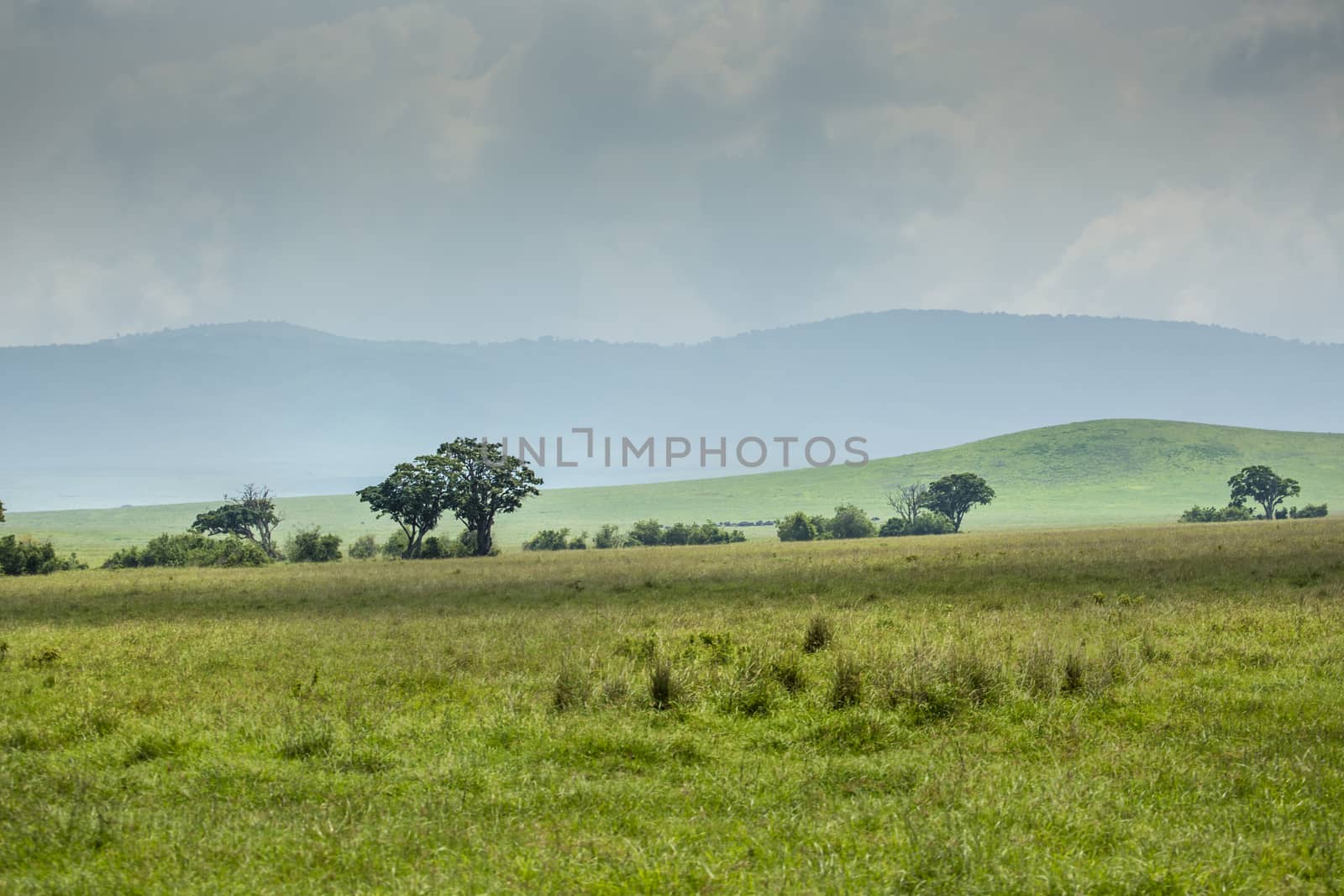 View over Ngorongoro Crater, Tanzania, East Africa (UNESCO World Heritage Site)