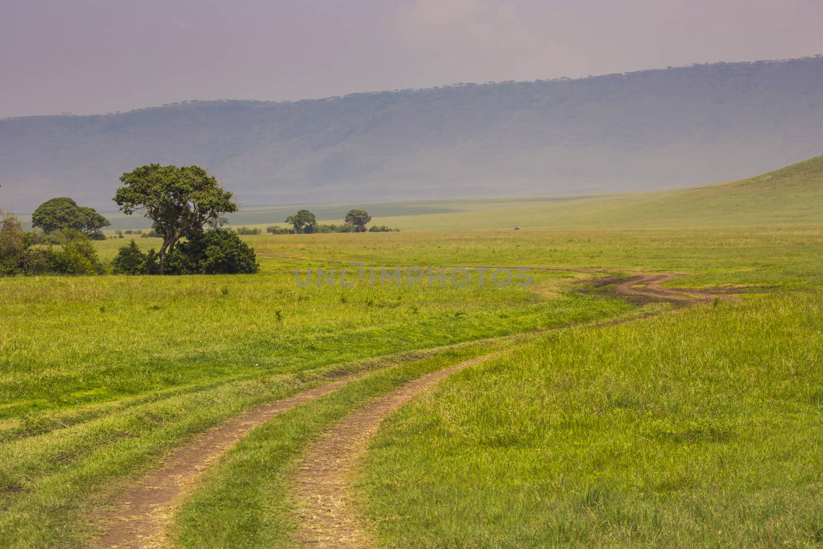 View over Ngorongoro Crater, Tanzania, East Africa (UNESCO World Heritage Site)