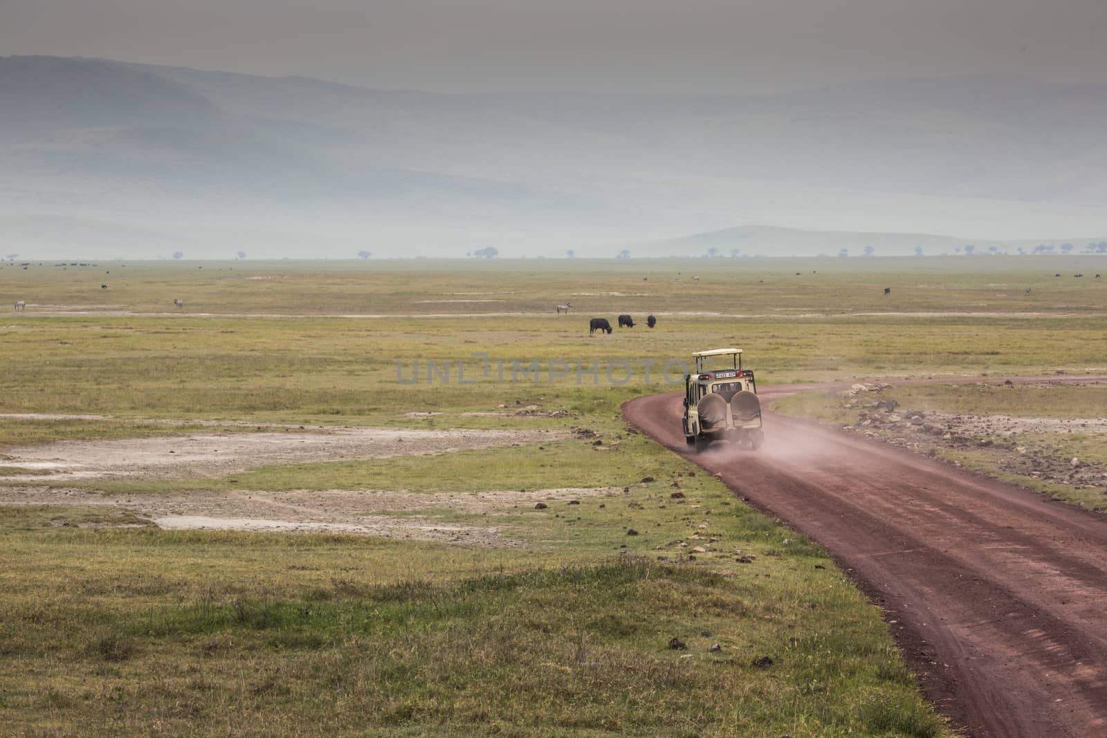 View over Ngorongoro Crater, Tanzania, East Africa (UNESCO World by mariusz_prusaczyk