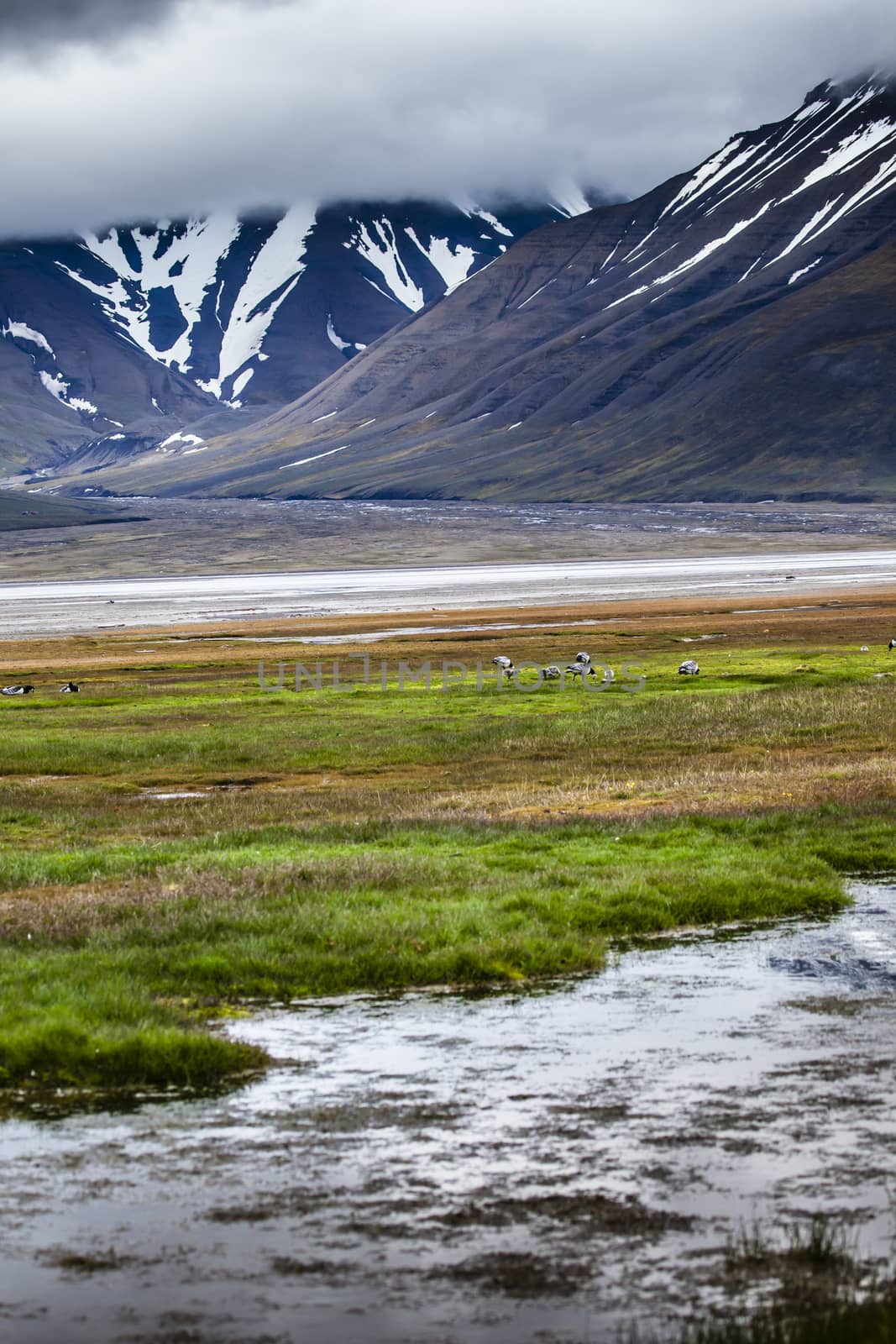 Beautiful scenic view of Spitsbergen (Svalbard island), Norway  by mariusz_prusaczyk