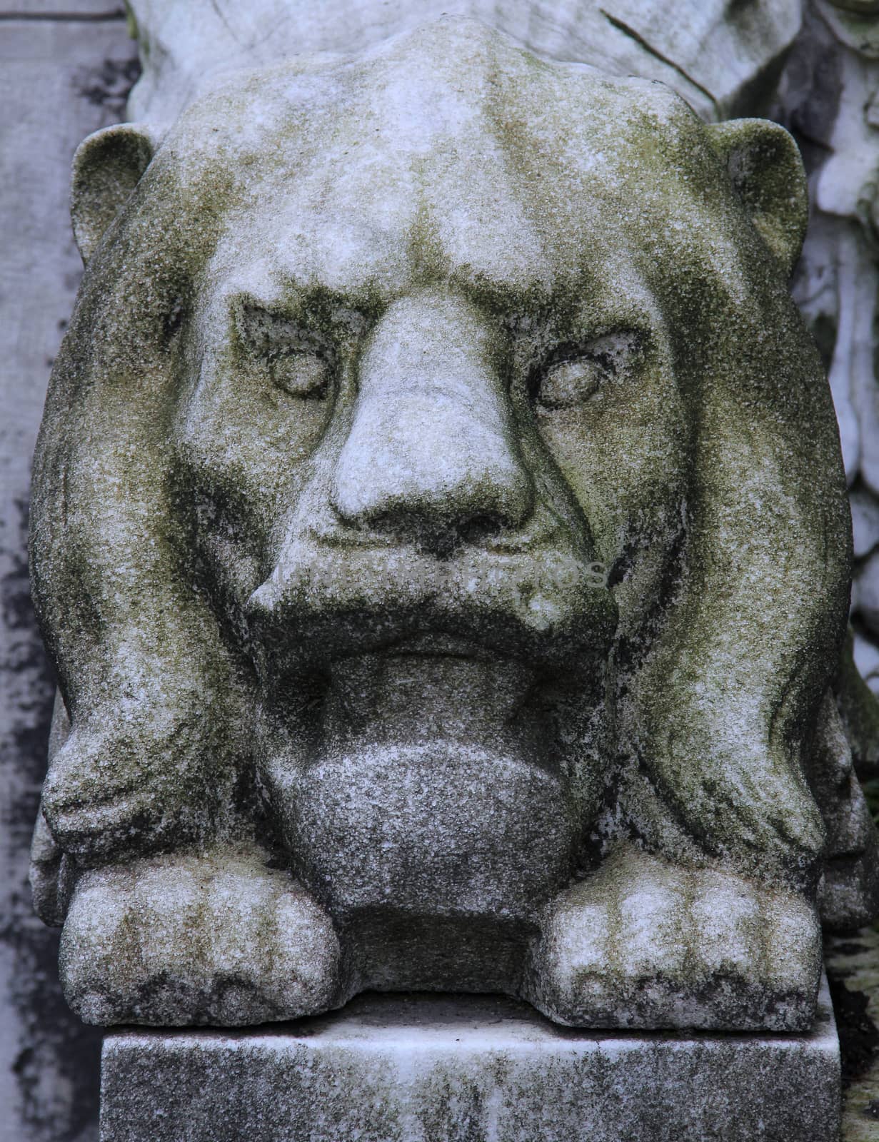 Eroded cemetery tombstone lion statue.