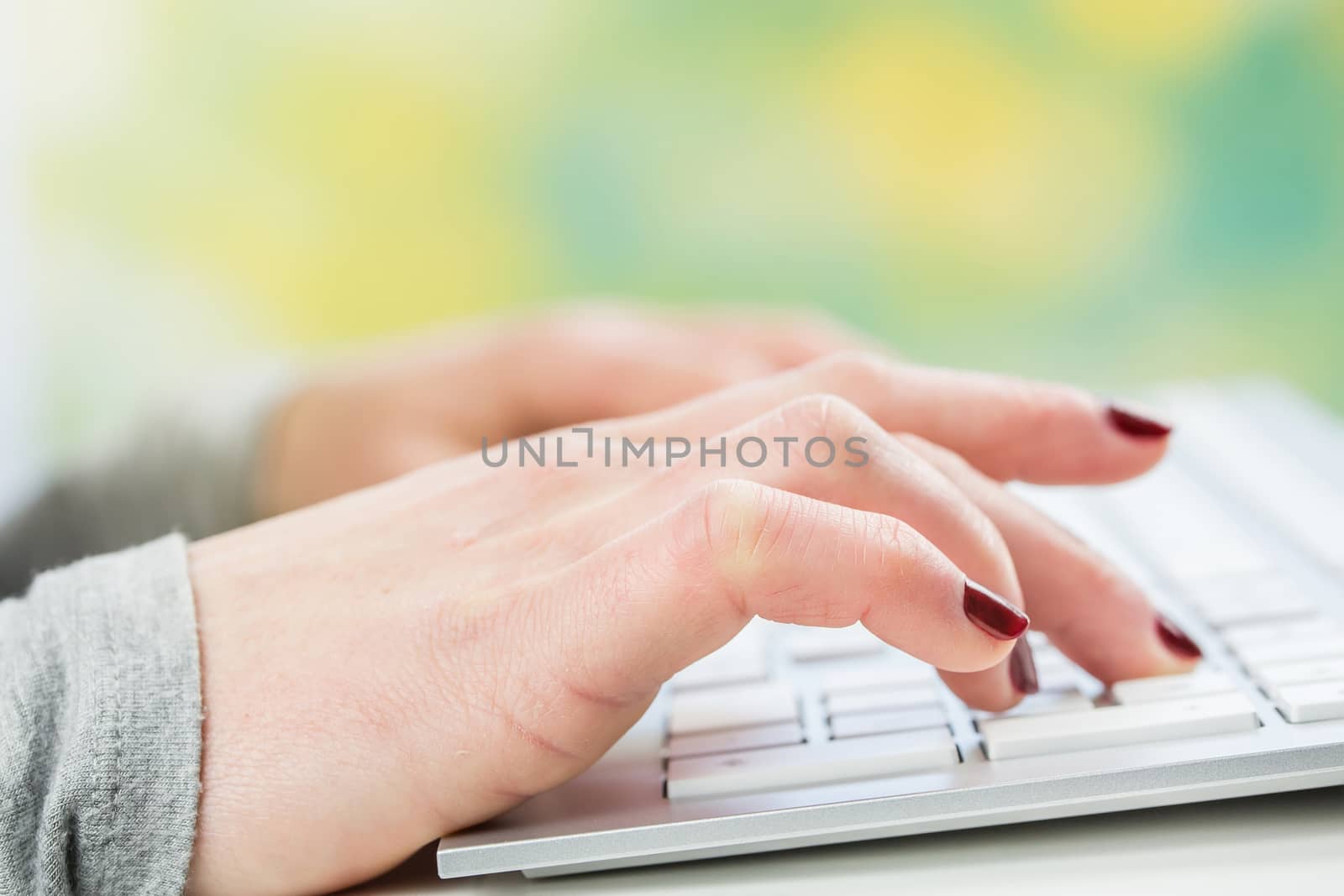 Female hands or woman office worker typing on the keyboard by pixinoo