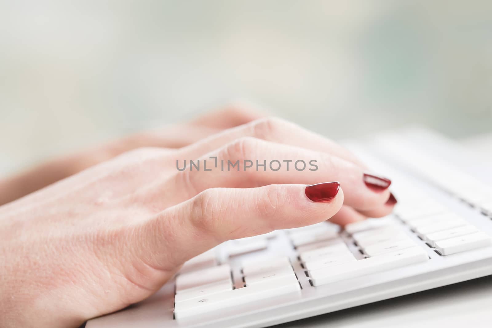 Female hands or woman office worker typing on the keyboard by pixinoo