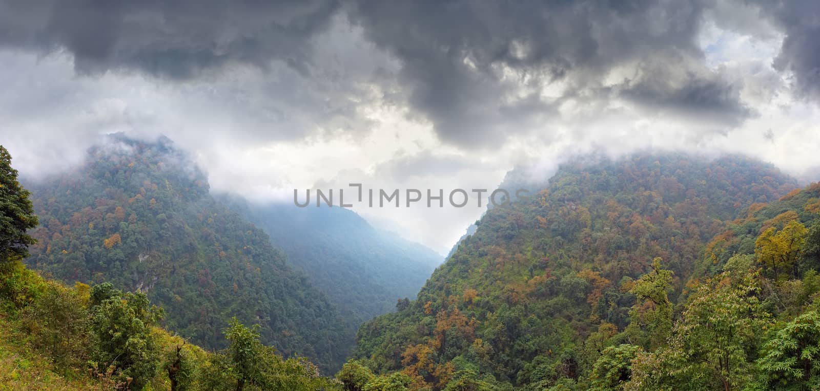 Panorama of the mountain gorge with the slopes covered with autumn forest and storm clouds above him in the Himalayas
