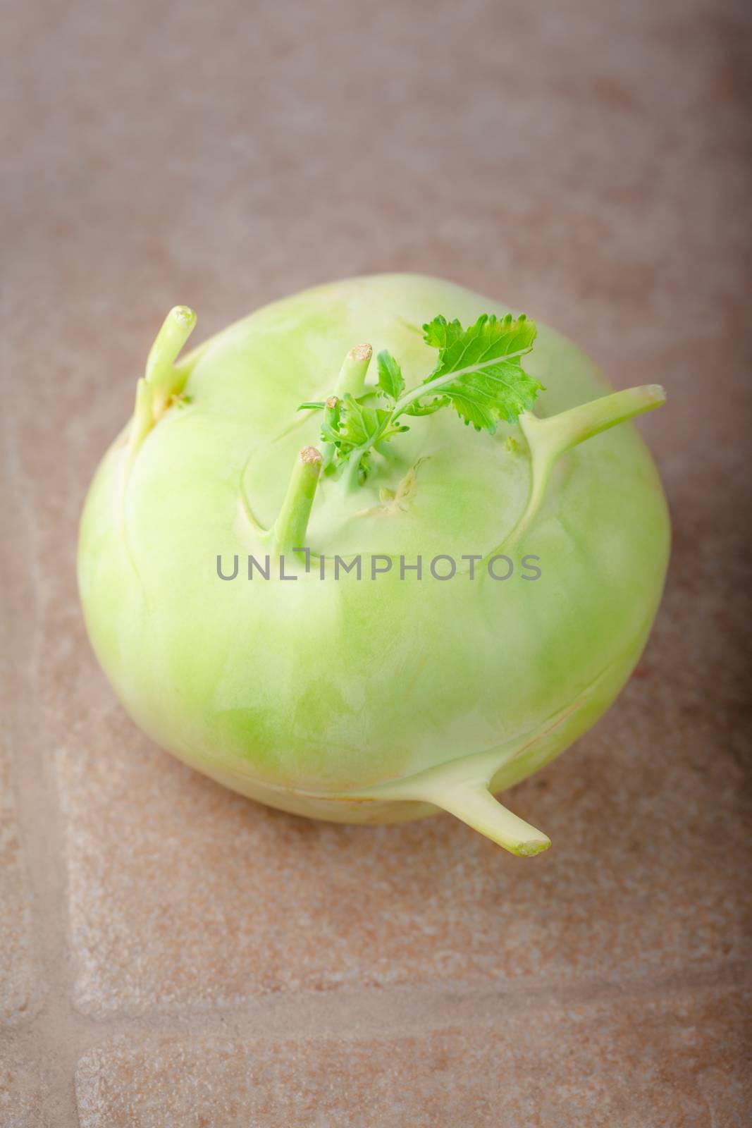 Fresh cabbage of kohlrabi by supercat67