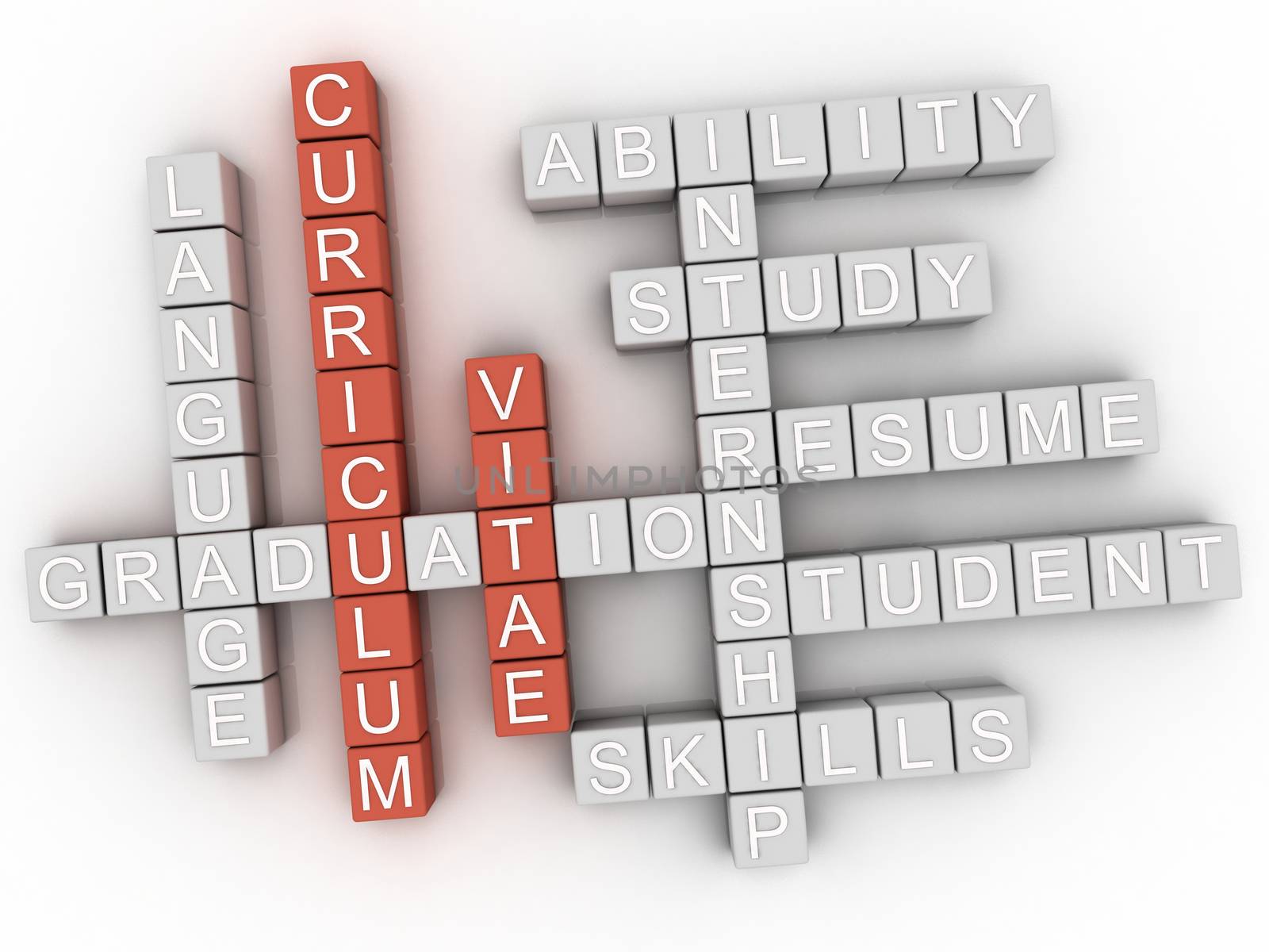 3d Curriculum Vitae Concept word cloud by dacasdo