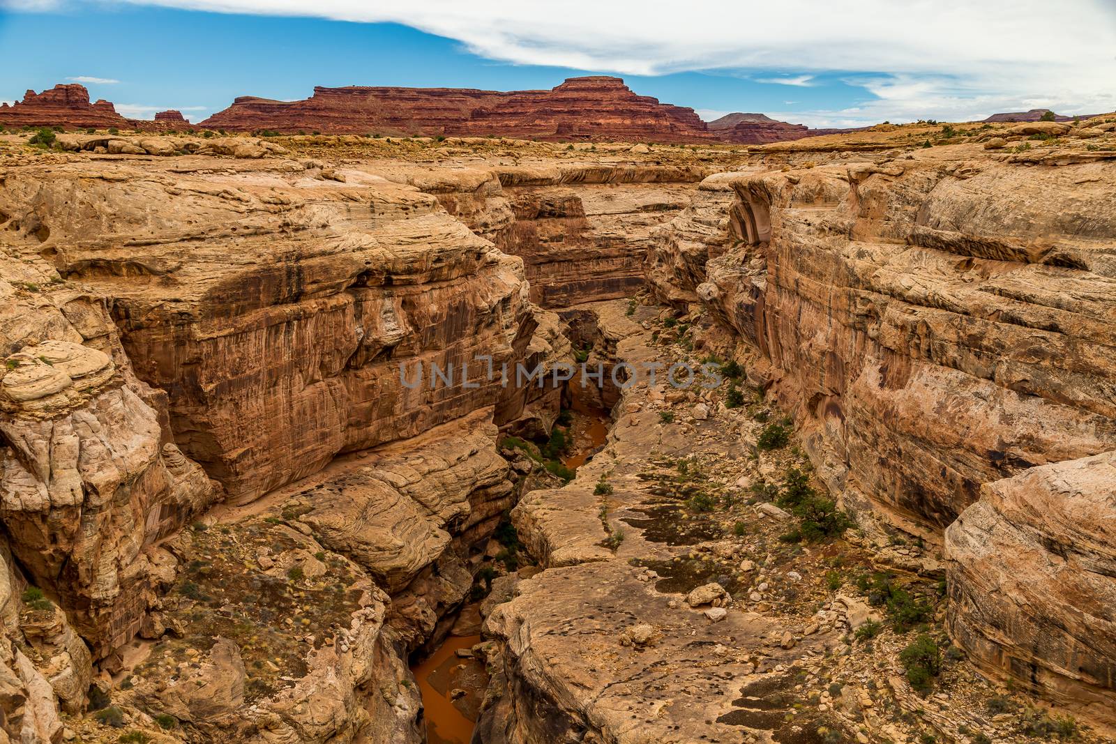 A slot canyon is a narrow canyon, formed by the wear of water rushing through rock. A slot canyon is significantly deeper than it is wide. Southern Utah has the densest population of slot canyons in the world with over one-thousand slot canyons in the desert lands south of Interstate 70.