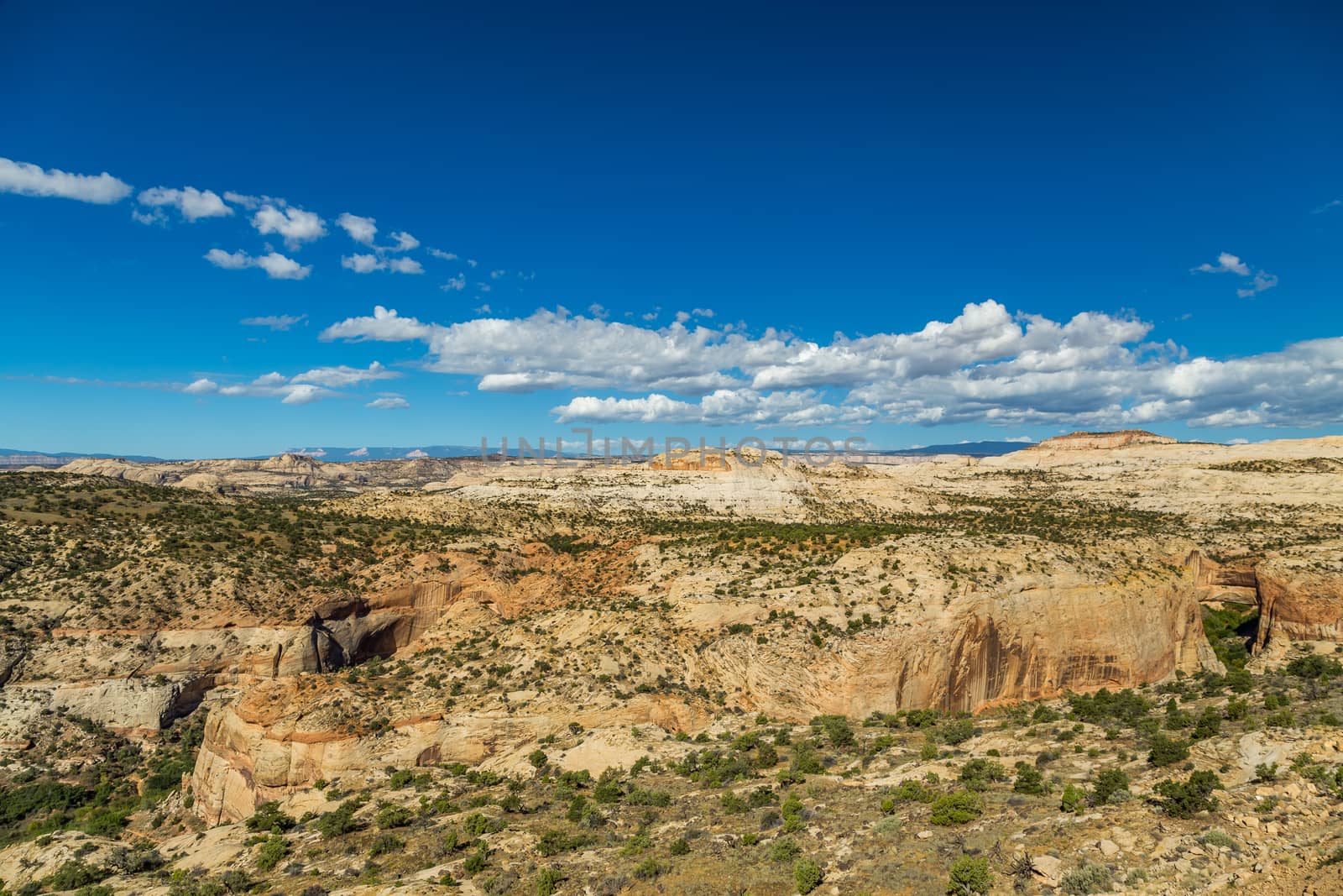 Calf Creek Recreation Area is a premier stop along Scenic Byway 12 in Grand Staircase-Escalante National Monument. This desert oasis includes a 13-site campground, a day-use picnic area, and trailhead.