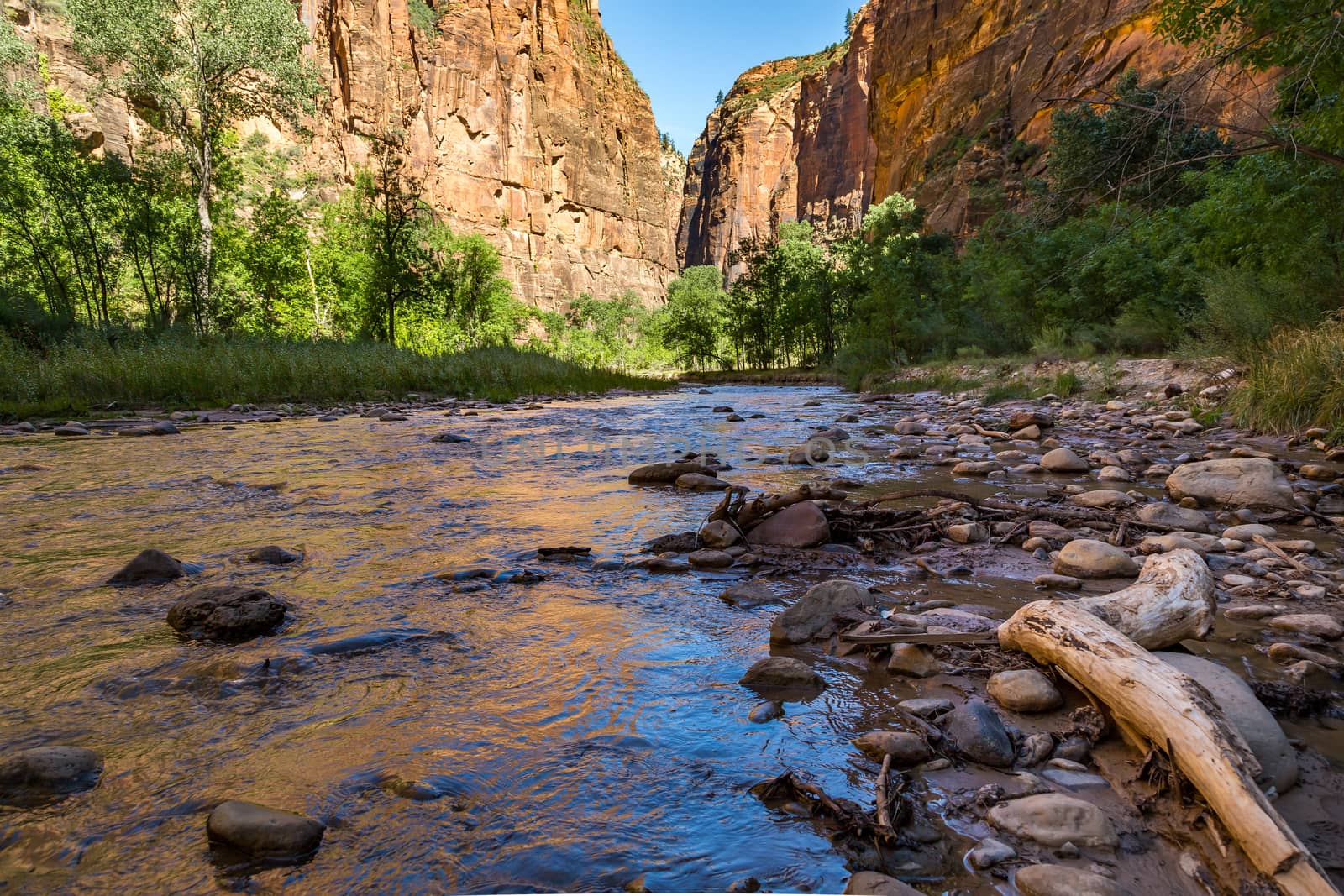 Zion National Park by adifferentbrian