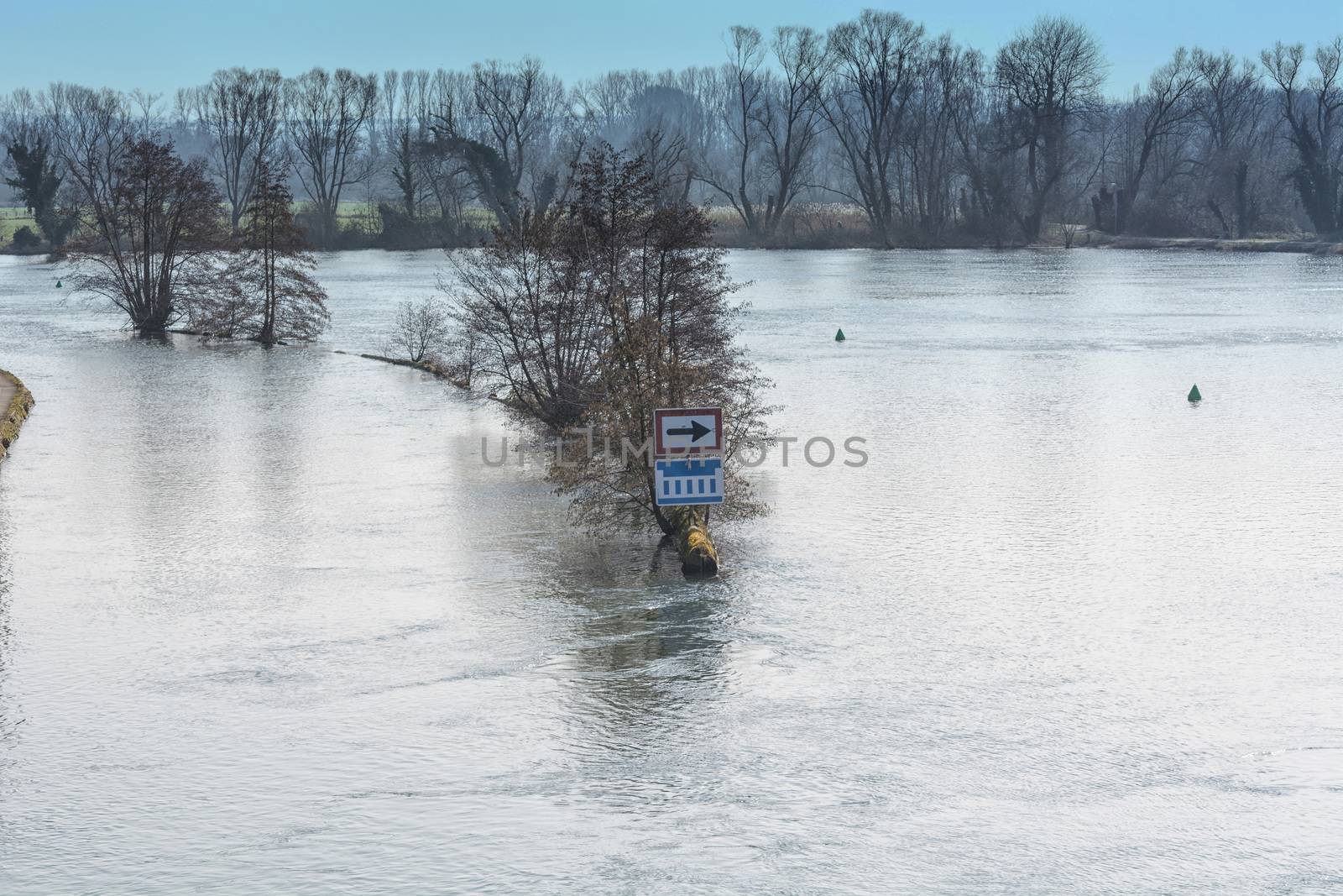Flooded forest land, flood plain in Muelheim an der Ruhr in Germany.