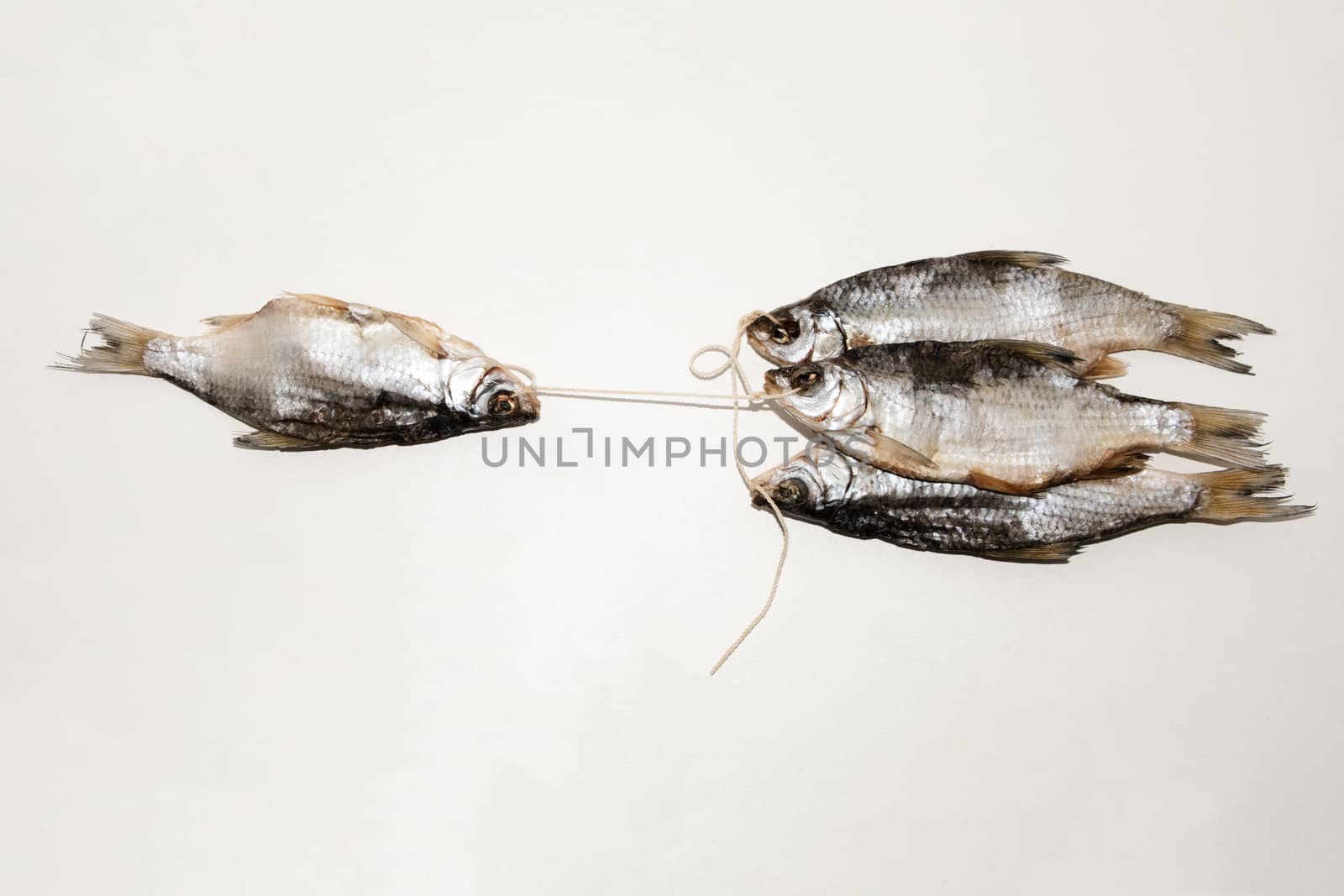 Dried fish on the table. Salty dry river fish on a white background. Dead dry salty fish - snack to beer. Isolated on white. .