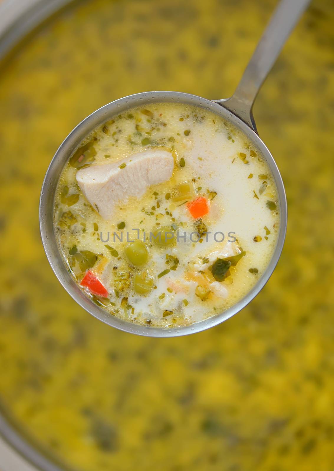 Chicken soup with vegetables and soup ladle
