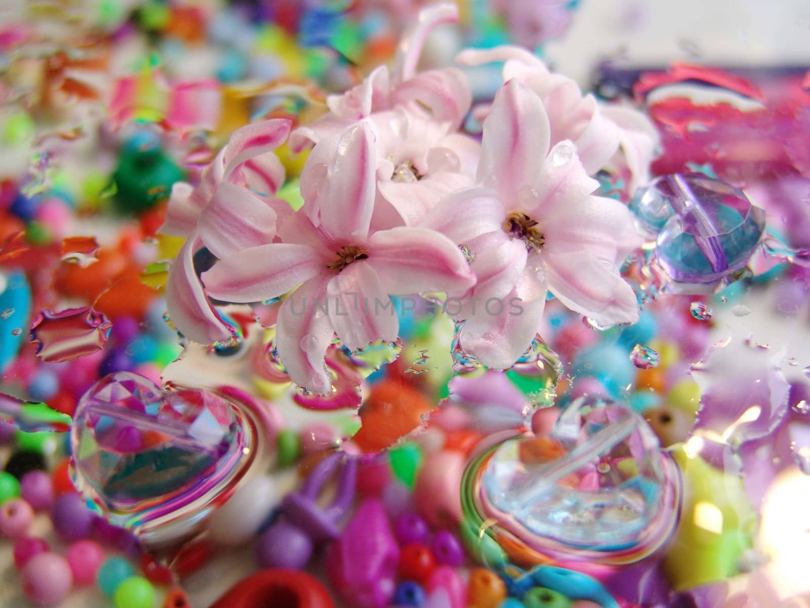 water drops on multicolor background.of glass hearts. flowers