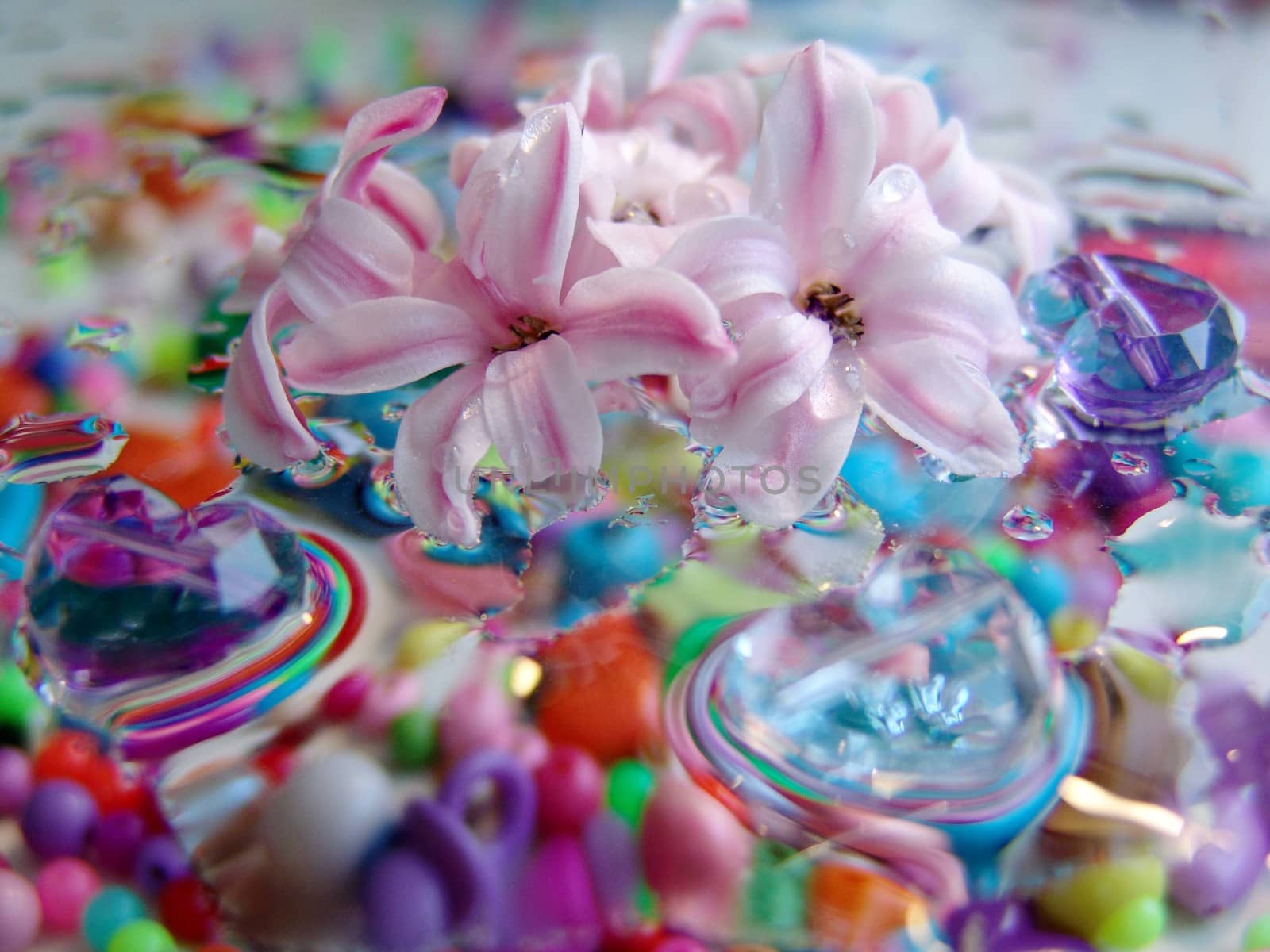 water drops on multicolor background.of glass hearts. flowers