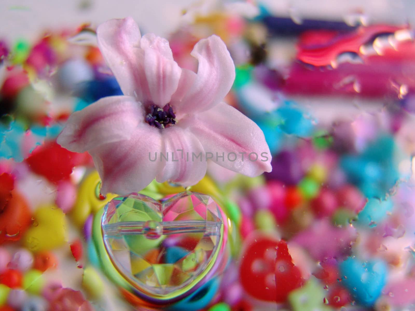 water drops on multicolor background.of glass hearts. flower by elena_vz