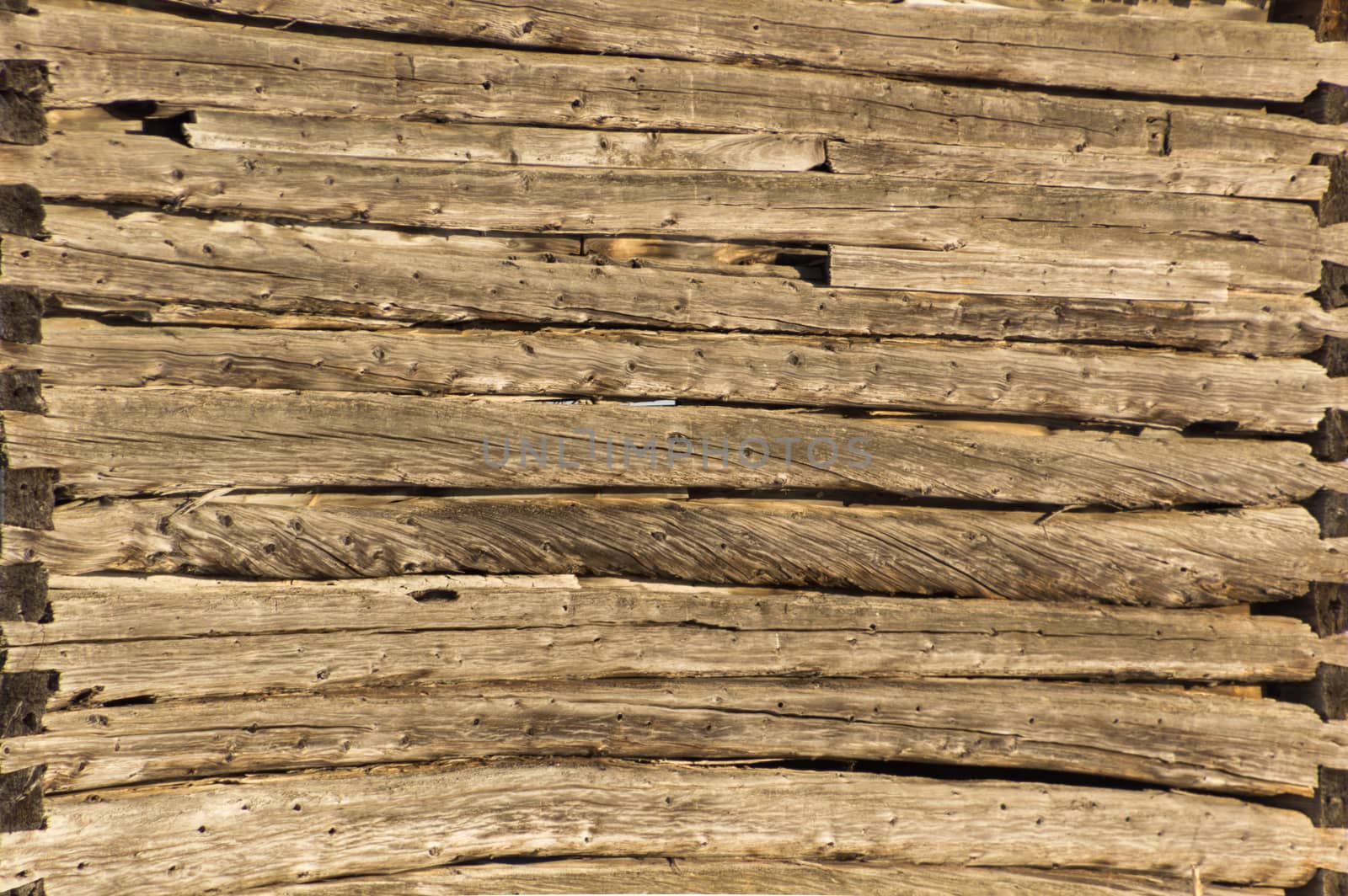 Closeup of bendy pioneer log cabin barn logs.