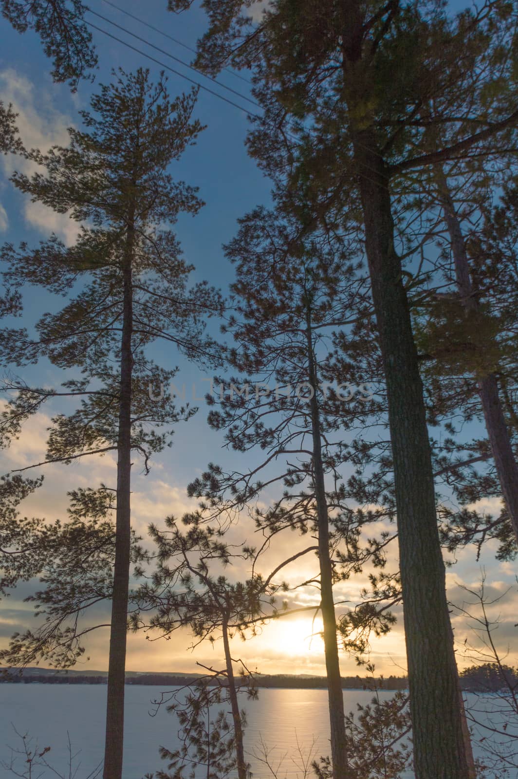 Landscape of a winter sunset with pine trees over a frozen lake by Sublimage