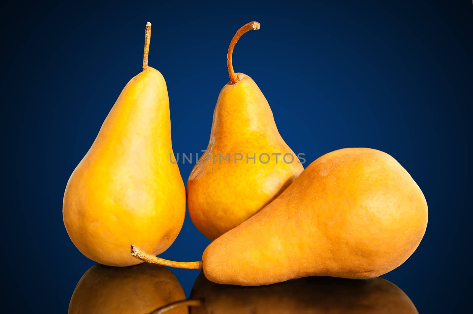 Three yellow pears on a glass table with reflection