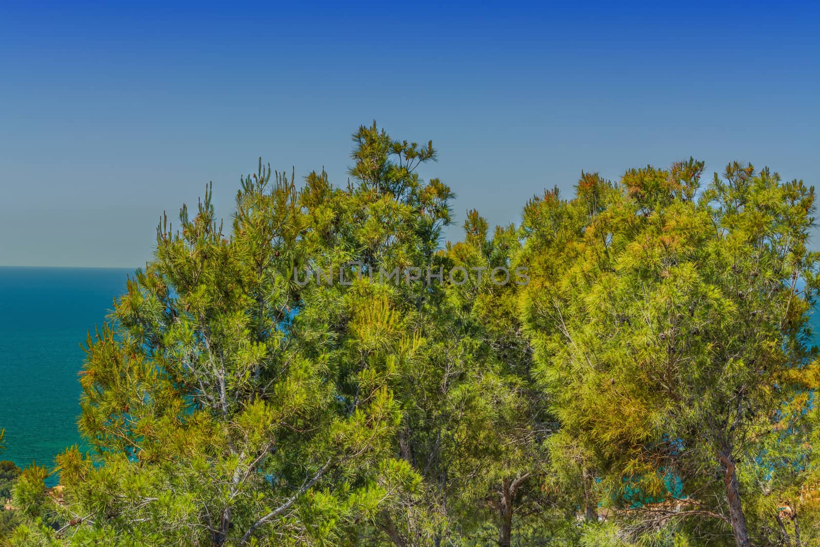 Panorama of the bay Paguera photographed from the mountain in Costa de la Calma.