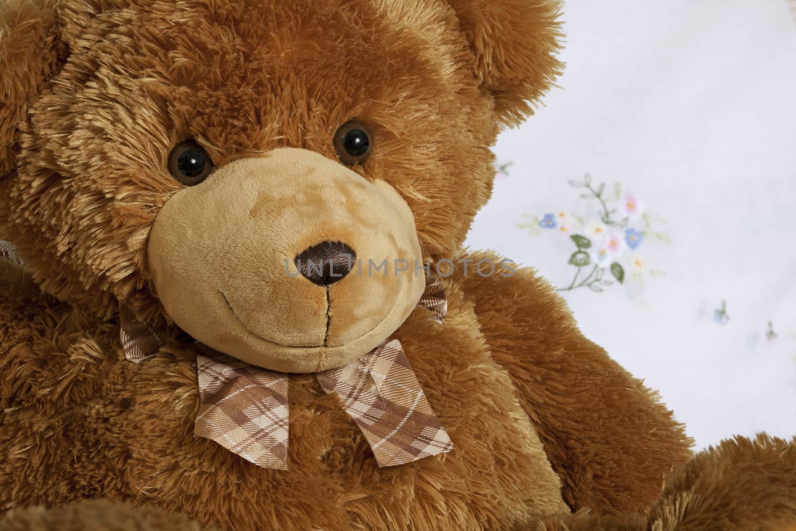 portrait cute teddy bear, brown teddy-bear, friend smile toy 