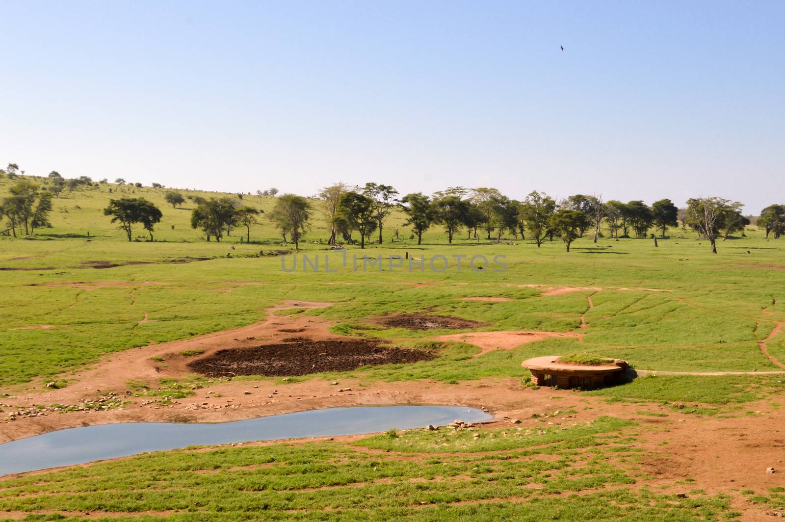 View of the Tsavo East savannah in Kenya with the mountains in the background