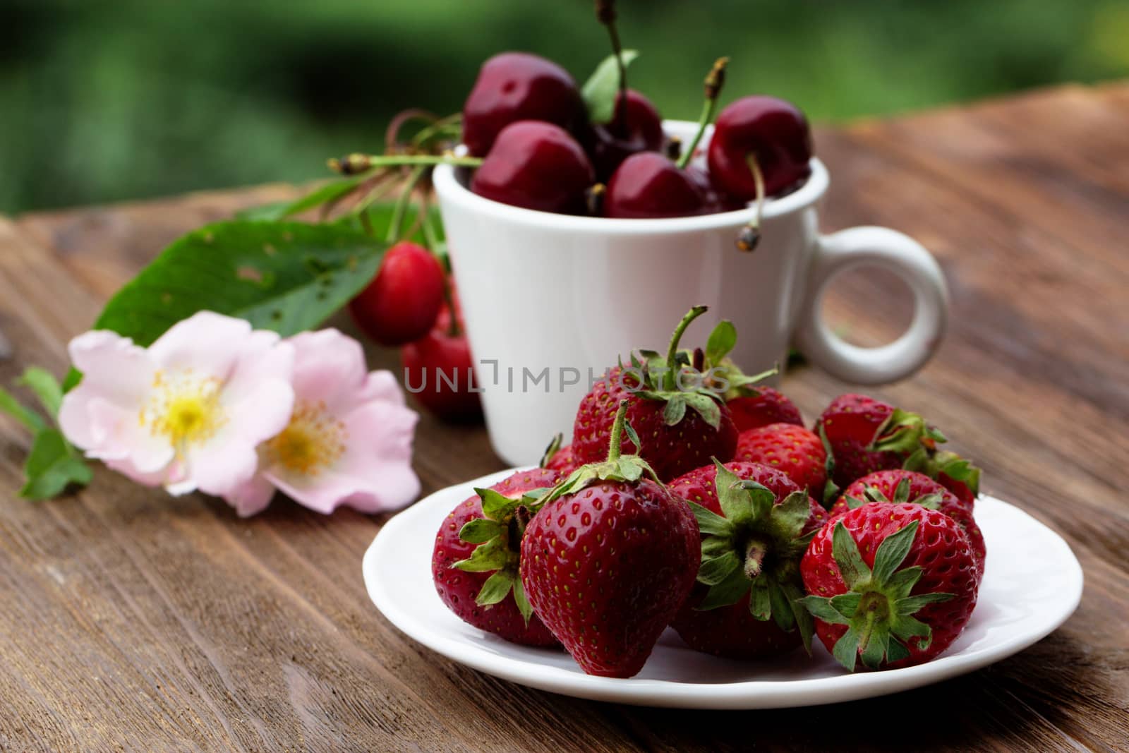 Group of fresh spring fruits together cherries and strawberries. Cherries in white bowl.Strawberry on a wooden background. Red strawberries. Strawberries on green