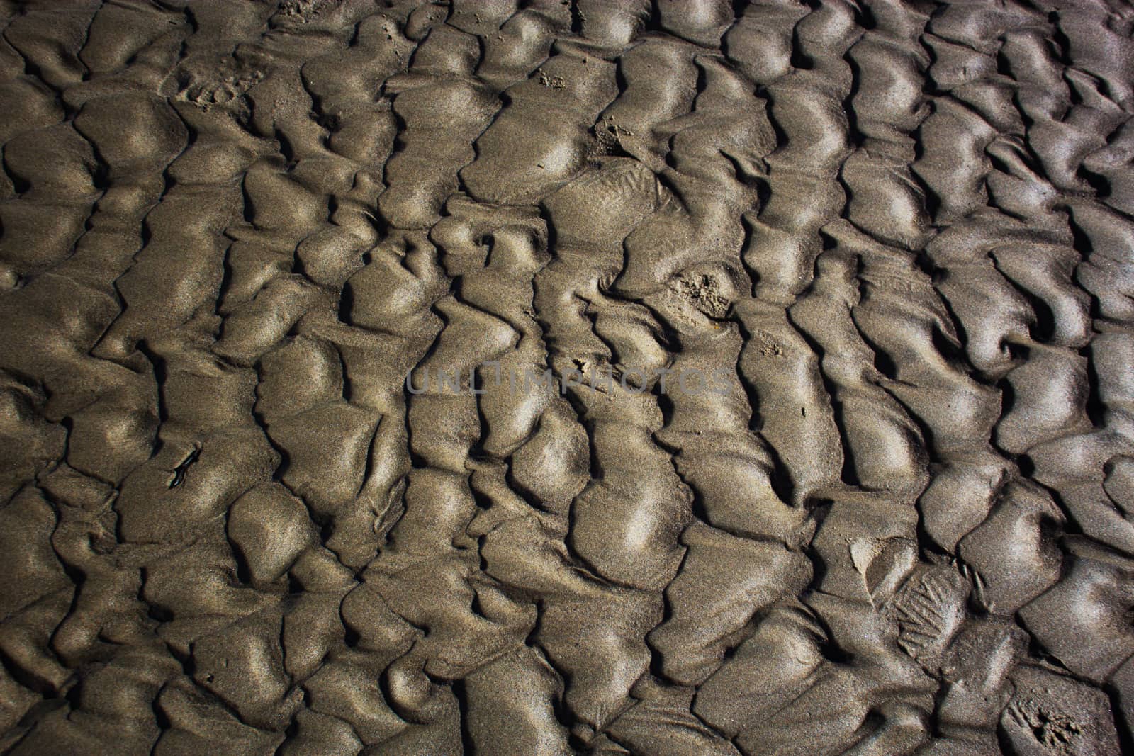 sea sand texture.Straight rows of sand on beach. Close up of sand. Beautiful sand background for vacation themes.