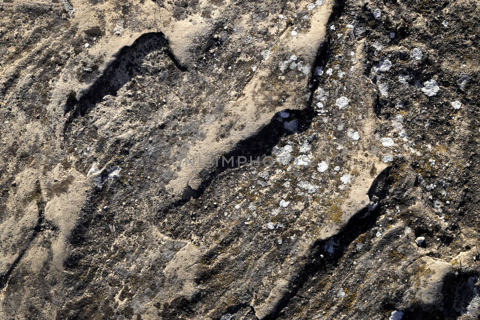 abstract background or texture Shadows on a block of sandstone