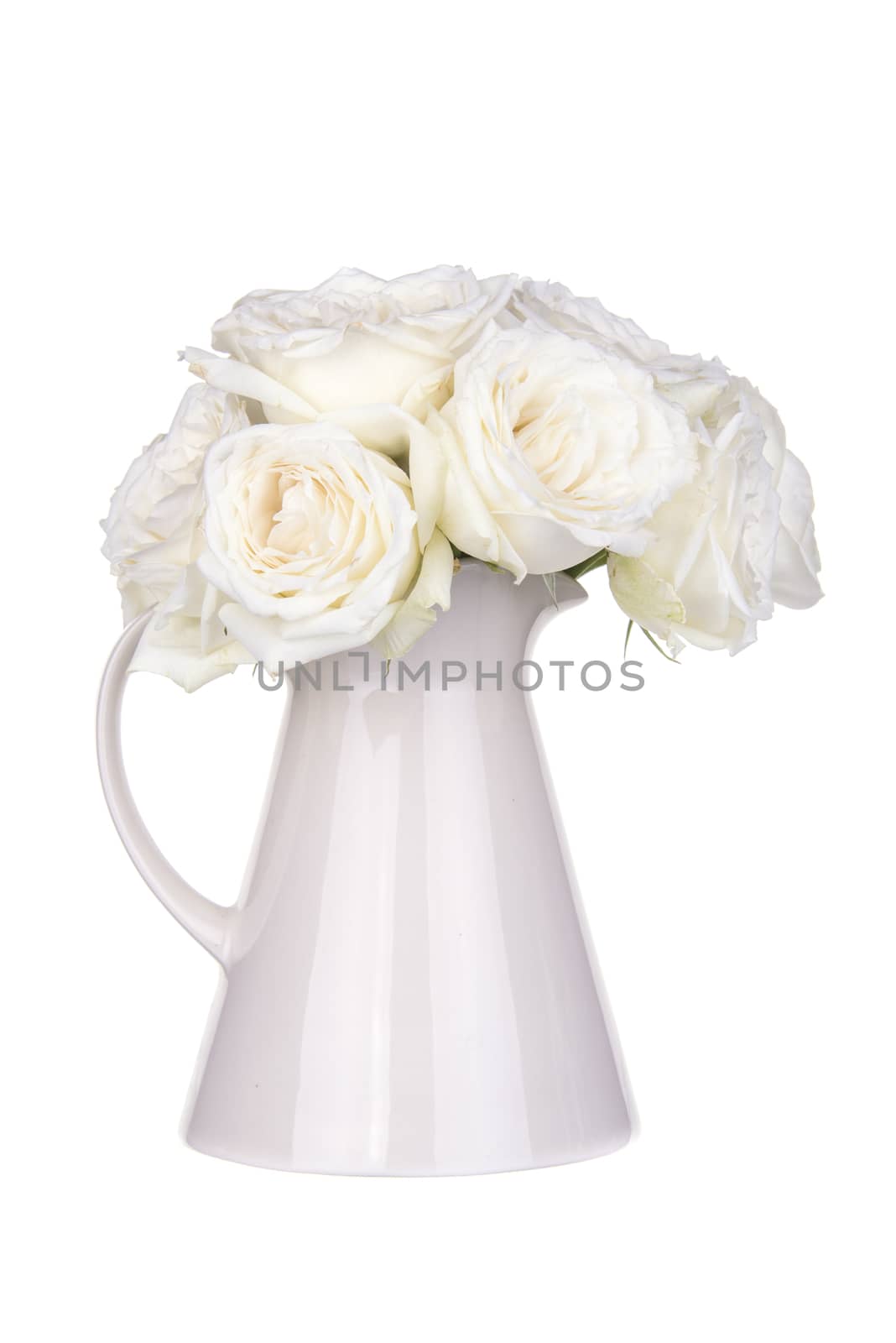 Roses in a vase isolated on white background.