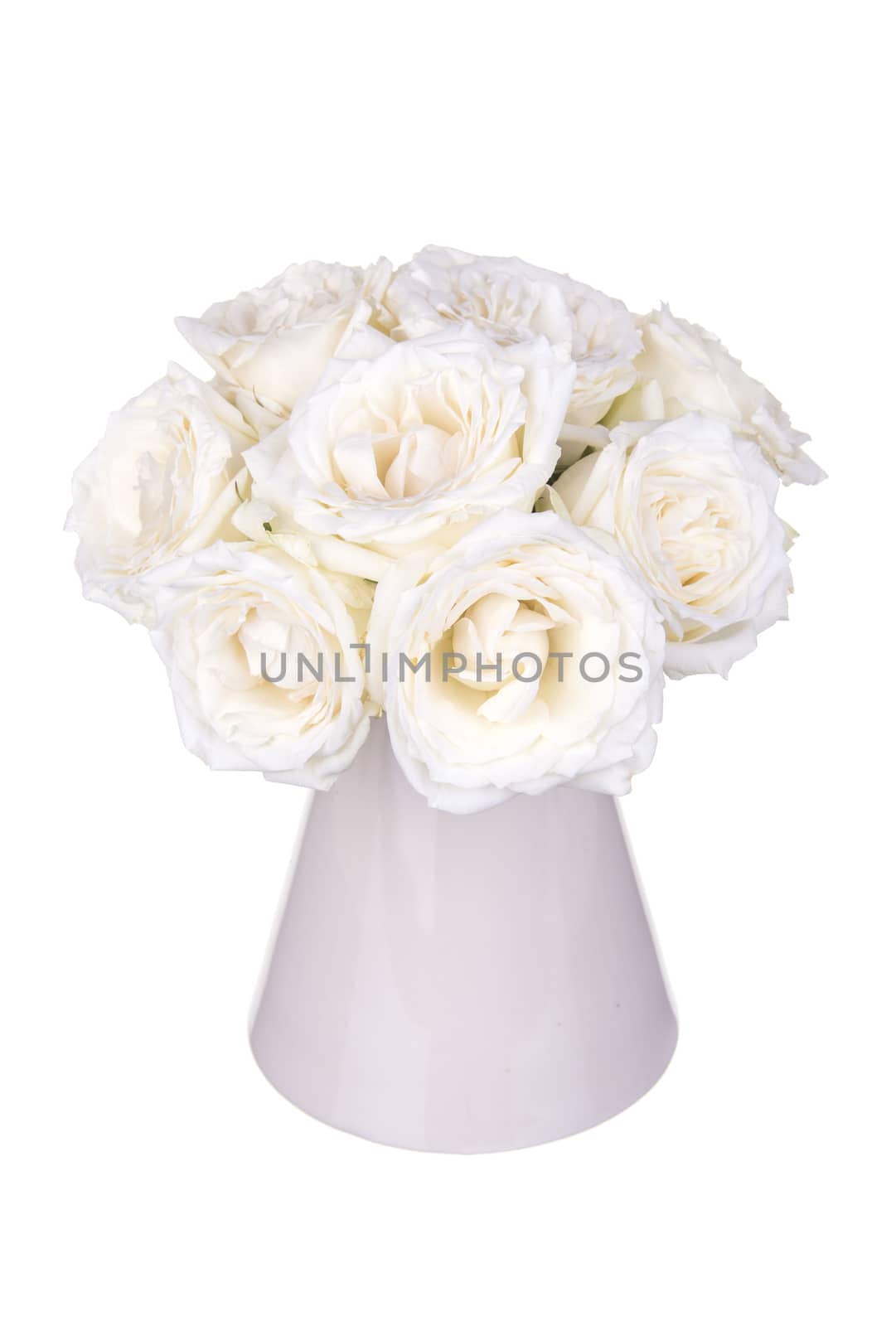 Roses in a vase isolated on white background.