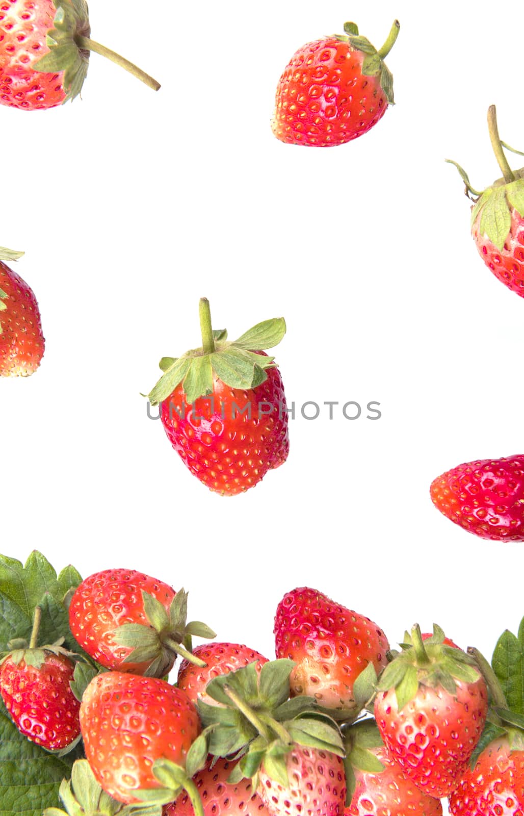 Strawberry with leaves isolated on a white background.