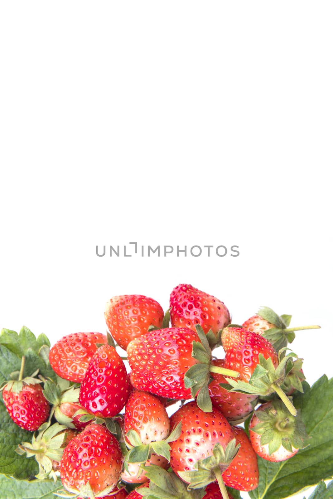 Strawberry with leaves isolated on a white background.