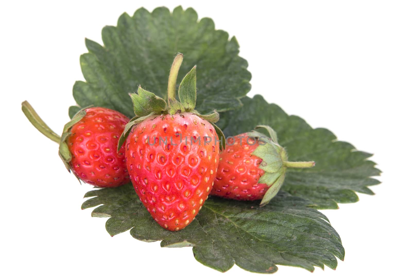 Strawberry with leaves. Isolated on white background