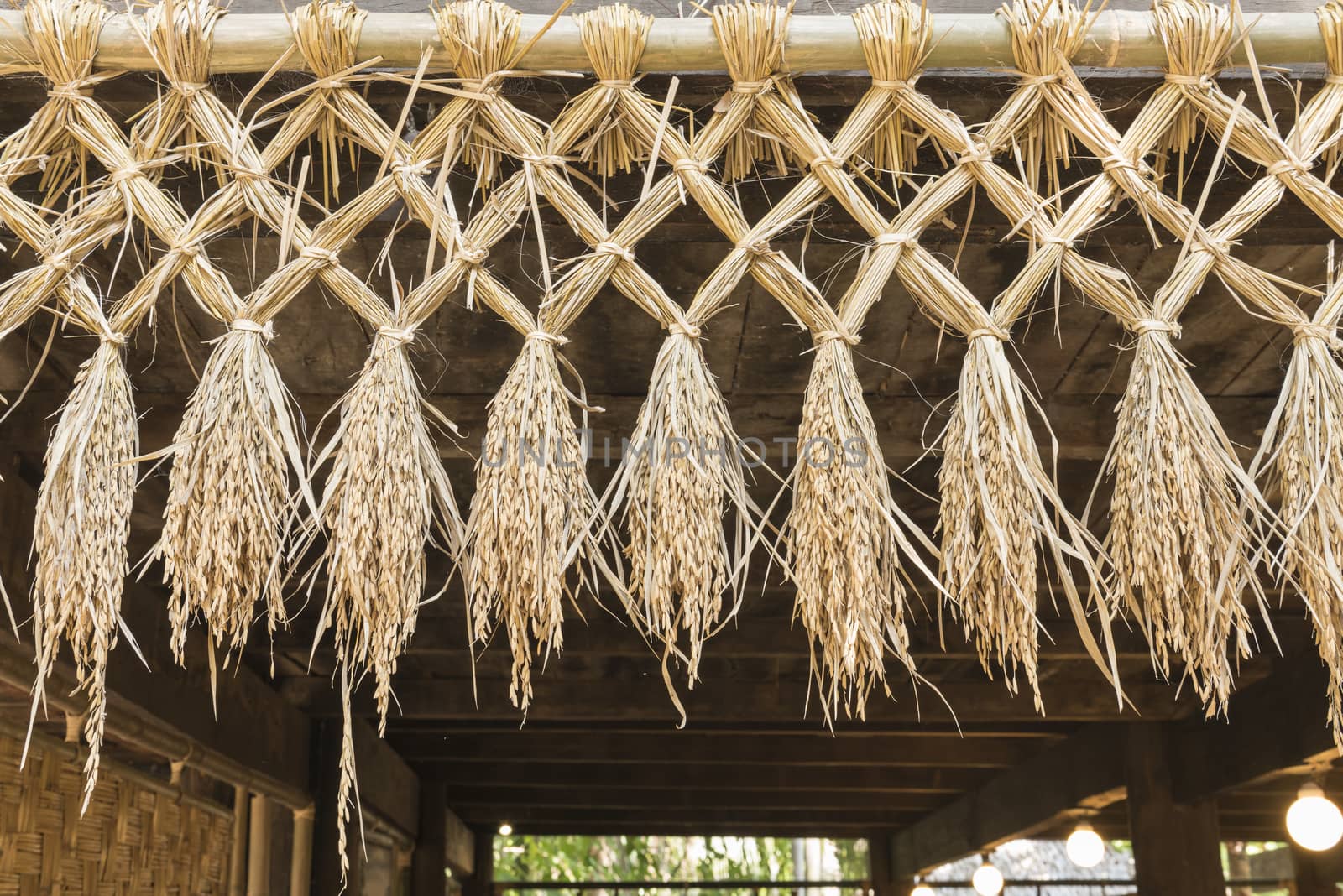 The crops which are bound together by a curtain that looks fantastic.