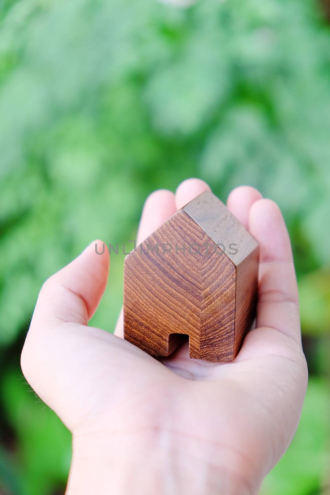 hand holding icon house, my dream house concept