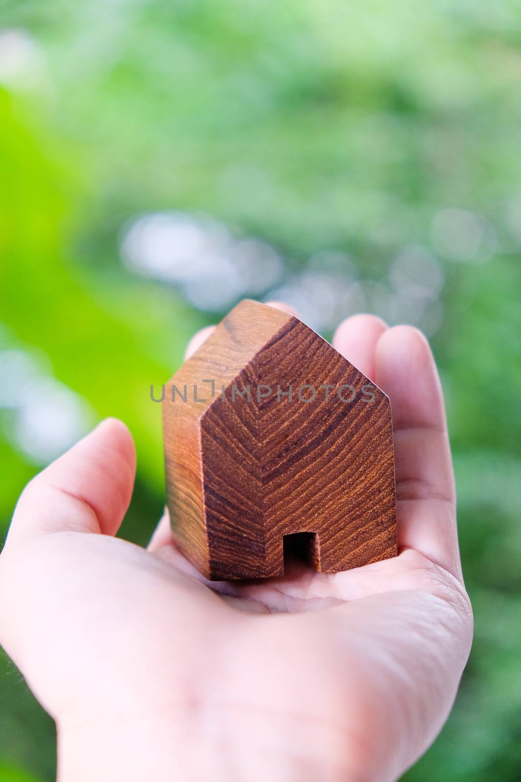 hand holding icon house, my dream house concept