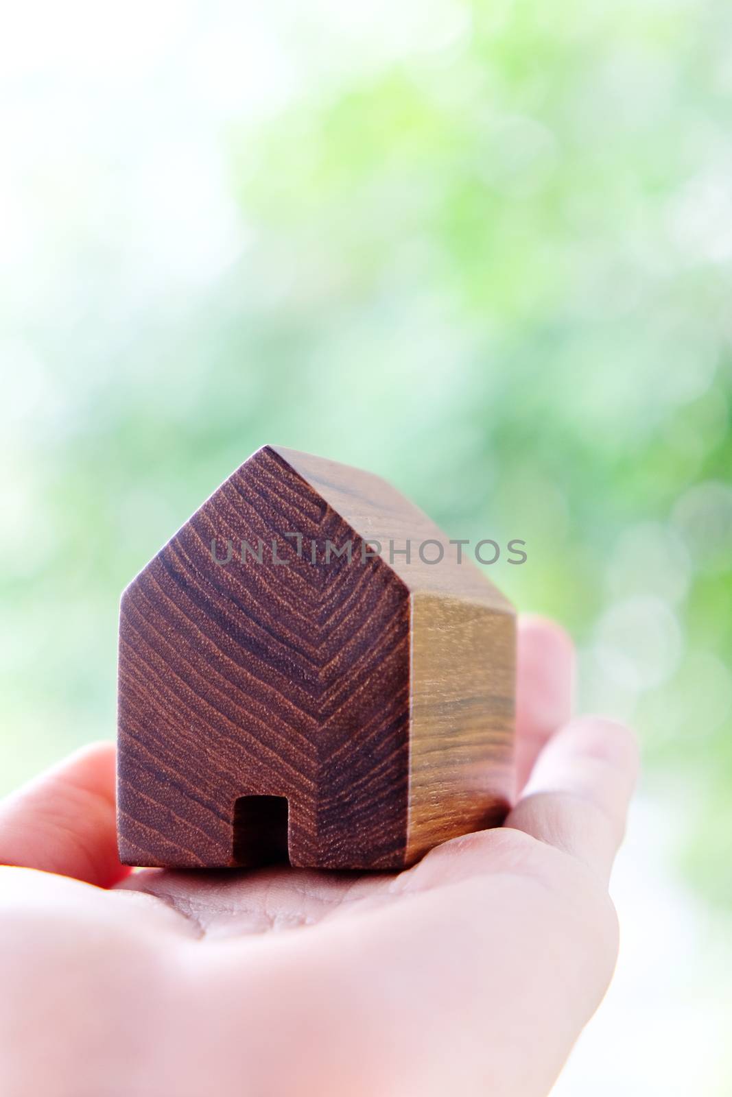hand holding icon house, my dream house concept