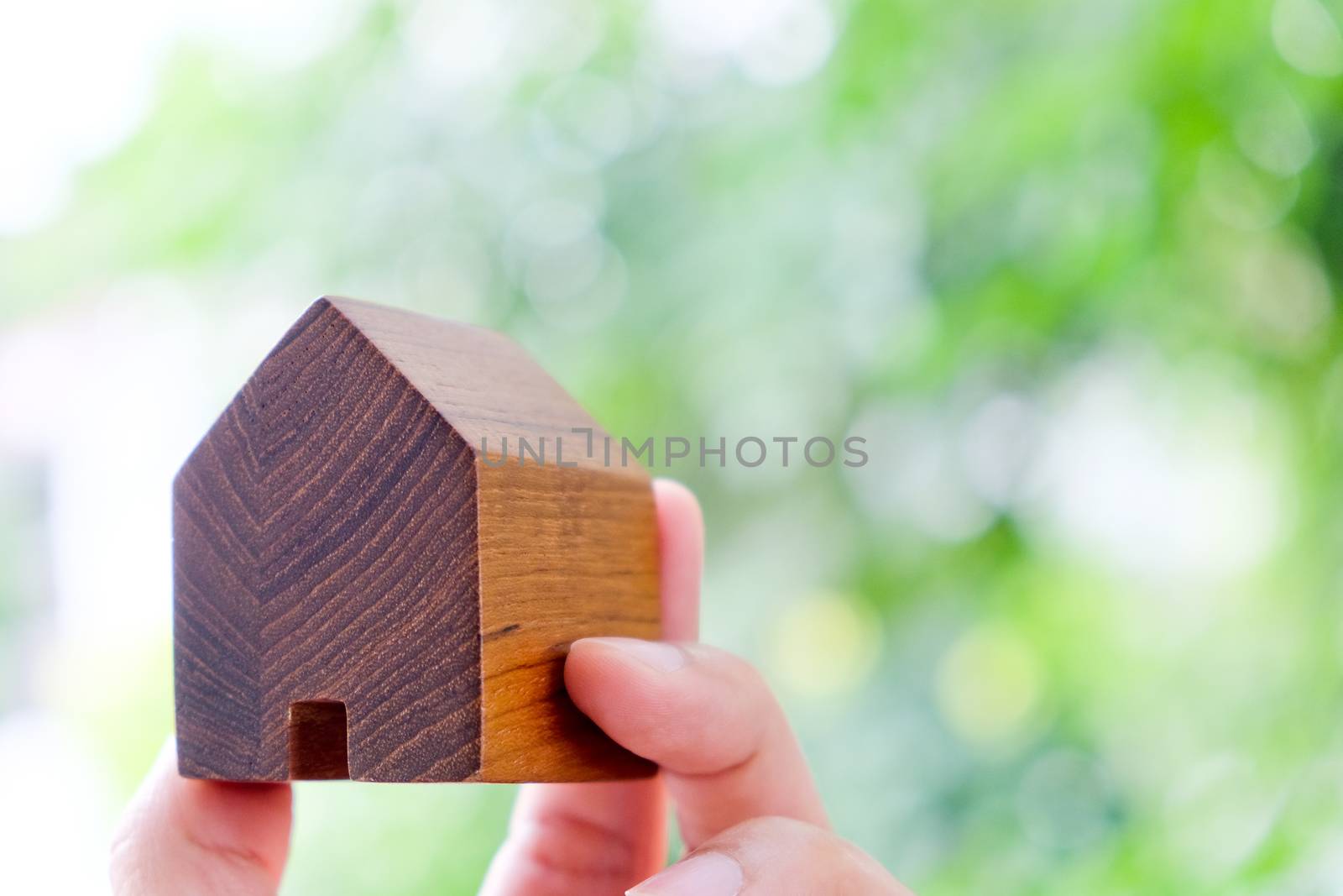 hand holding icon house, my dream house concept